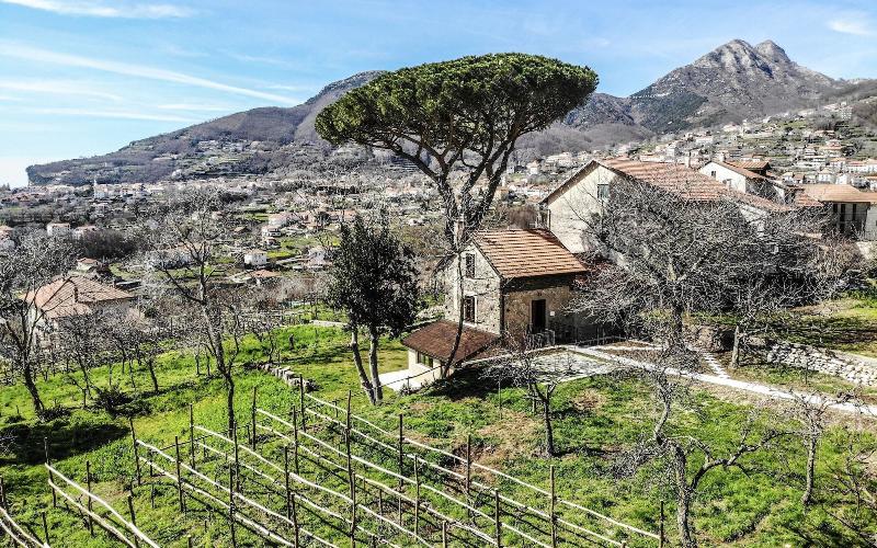 Tenuta Novecento Bio Agriturismo - Genel