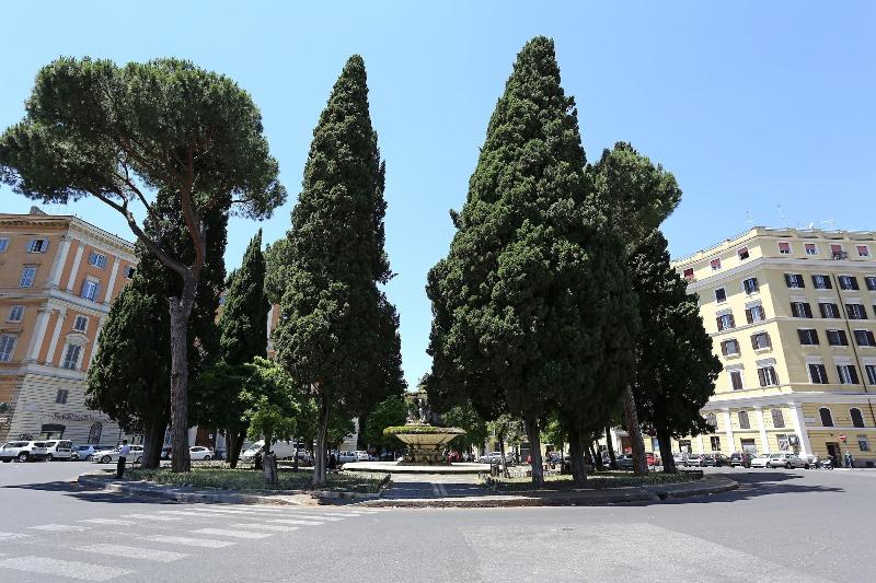 Residenza Vittoria Roma - Genel