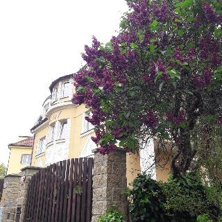 Hotel Garni Rambousek fotoÄŸrafÄ±