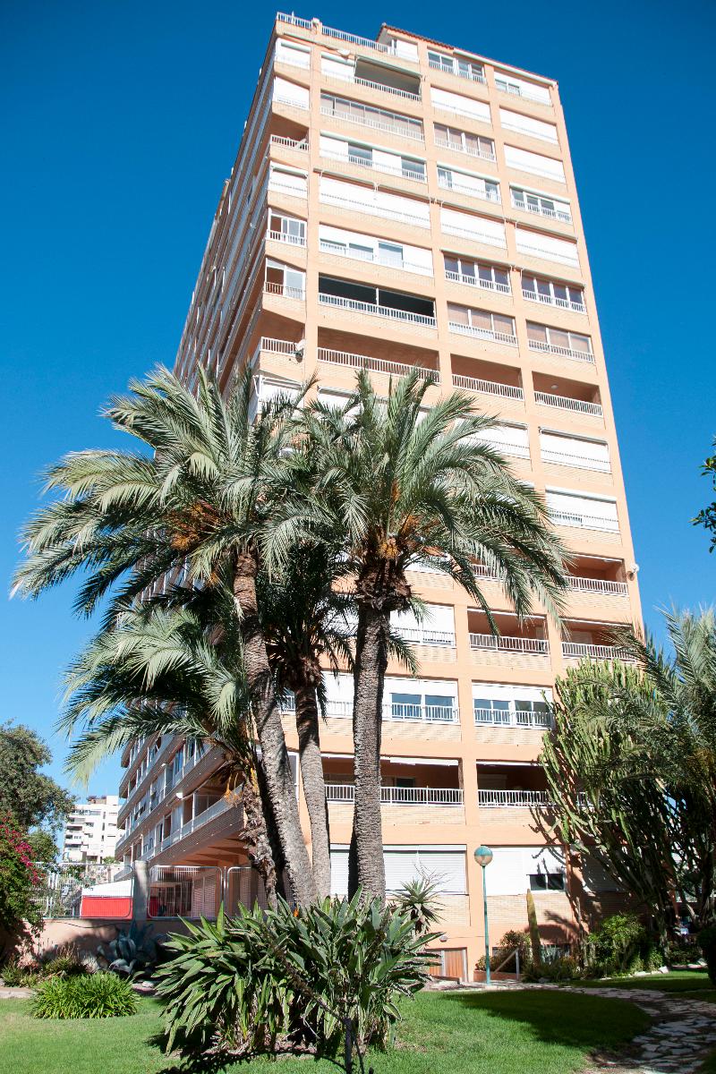 Apartamentos Concorde - Genel