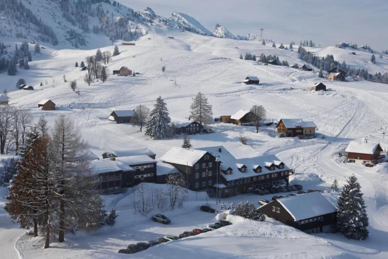 Stump S Alpenrose - Genel