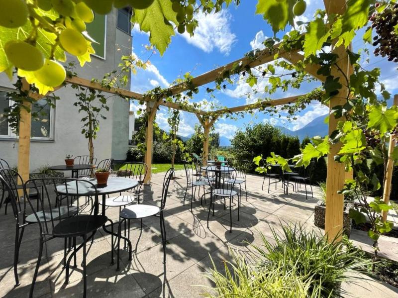 Marmota Hostel - Teras