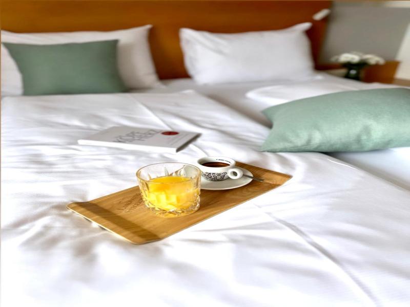 Landhotel Stegersbach - Genel