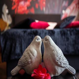 Hotel Spelderholt fotoÄŸrafÄ±