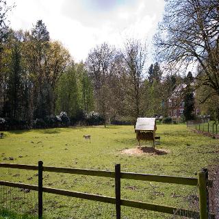 Hotel Spelderholt fotoÄŸrafÄ±