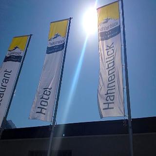 Hotel Hahnenblick otel fotoğrafı