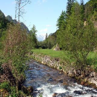 Alpenhotel Ensmann fotoÄŸrafÄ±