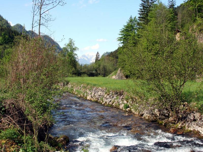 Alpenhotel Ensmann - Genel