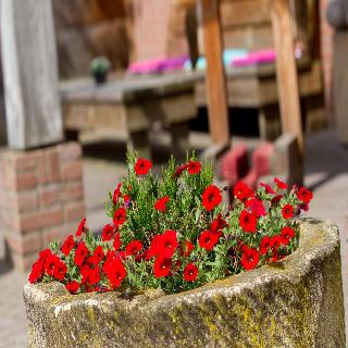 Hotel B B Erve Bruggert fotoÄŸrafÄ±