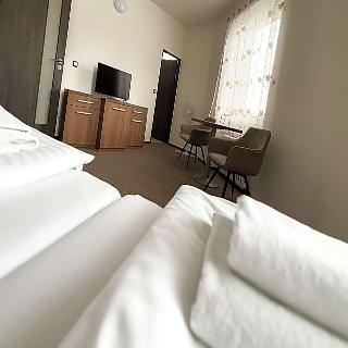 Hotel Pod Radnici fotoÄŸrafÄ±
