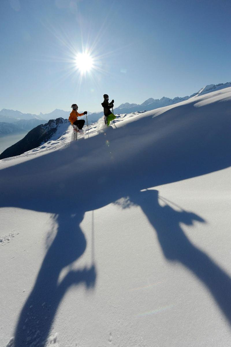 Aktiv Und Genusshotel Alpenblick - Aktivite