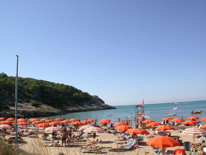 Hotel D Amato - Genel