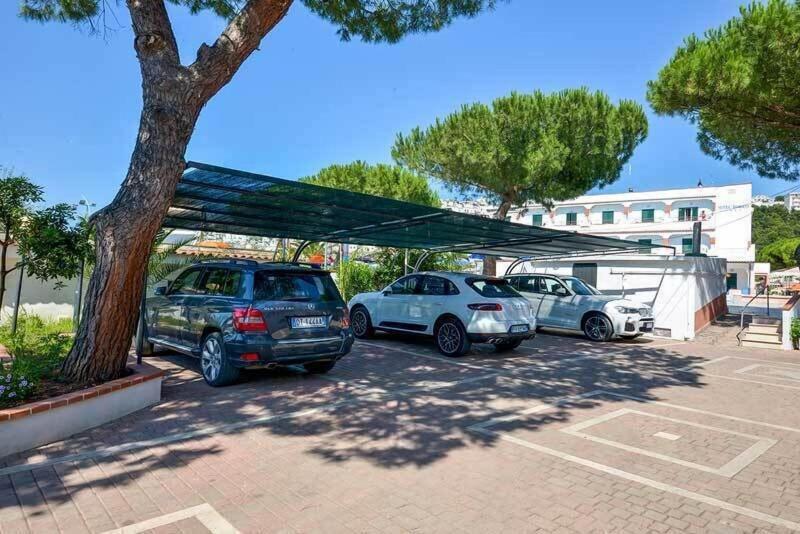 Hotel D Amato - Genel