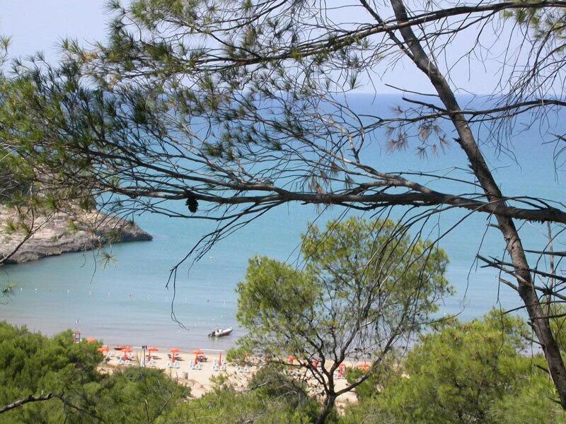 Hotel D Amato - Plaj