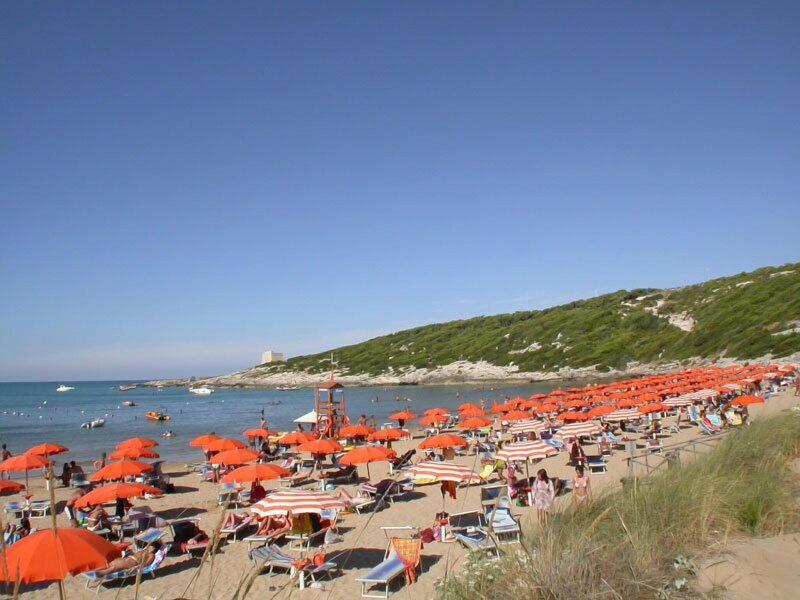 Hotel D Amato - Plaj