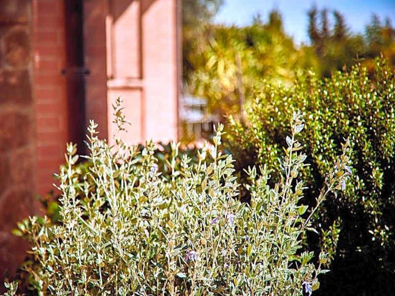 Piccolo Hotel La Valle - Genel