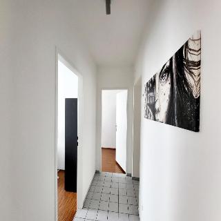 Real Living Apartments Vienna - Buchengasse fotoÄŸrafÄ±