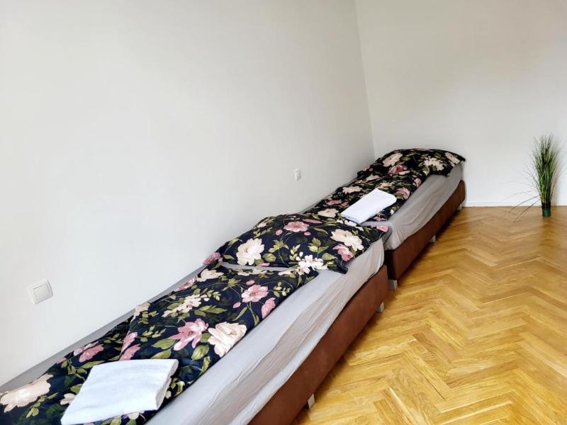Real Living Apartments Vienna - Buchengasse - Genel