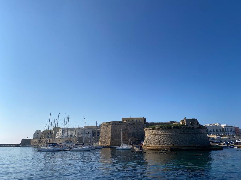 Palazzo Mongiò - Oda