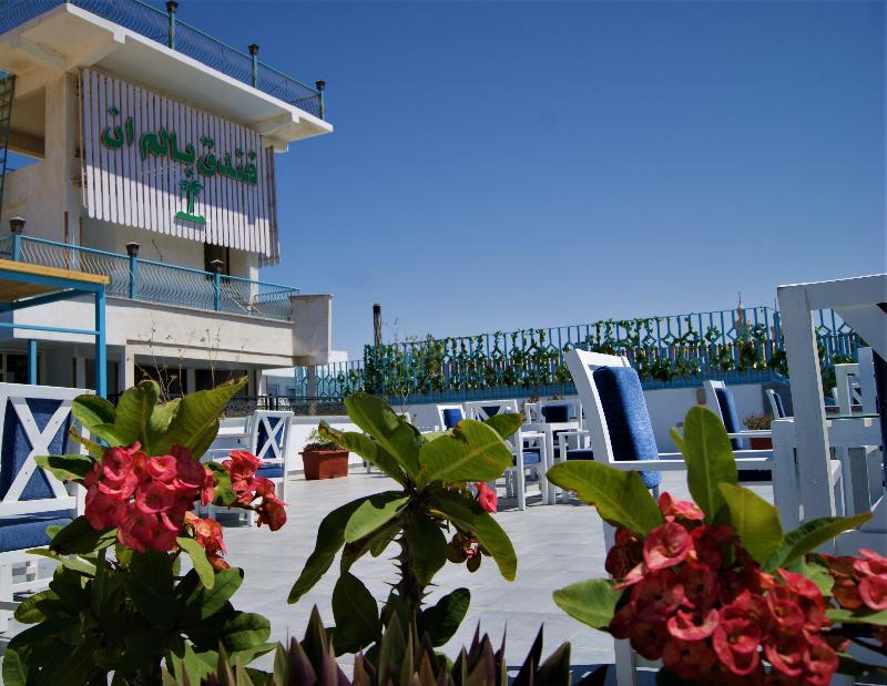 Palm Inn Hotel Hurghada - Genel