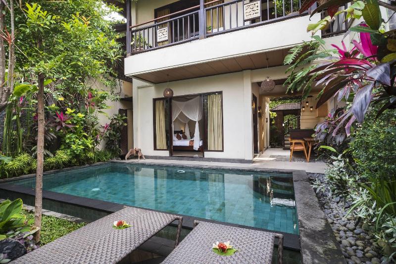 Bali Ayu - Genel