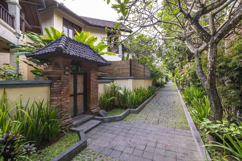 Bali Ayu - Genel