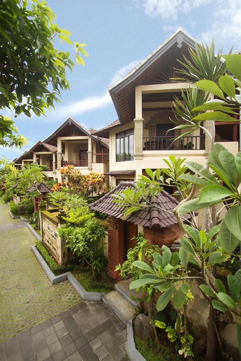Bali Ayu - Genel