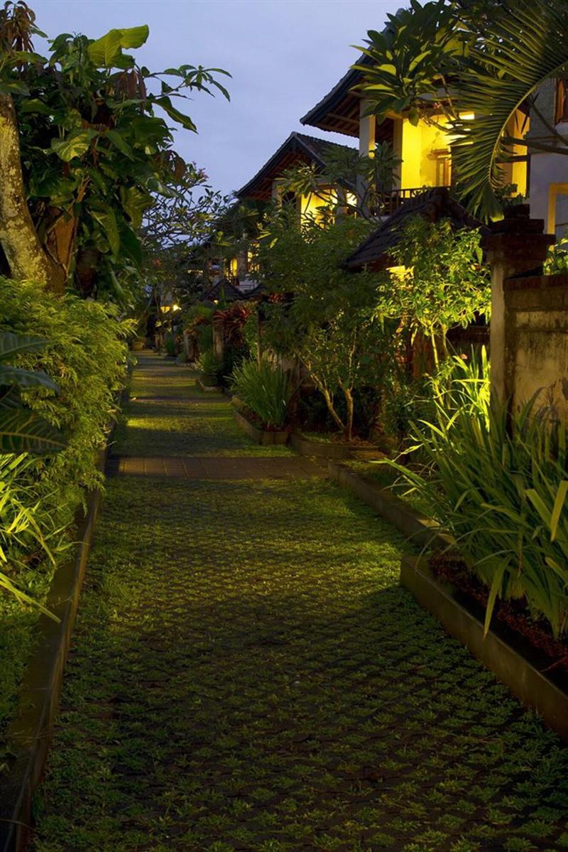 Bali Ayu - Genel