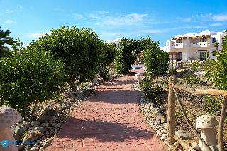 Beach Safari - Nubian Resort Marsa Alam fotoÄŸrafÄ±