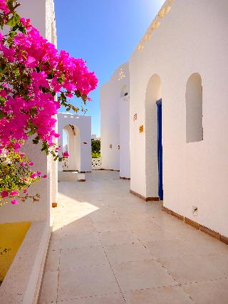 Beach Safari - Nubian Resort Marsa Alam fotoÄŸrafÄ±