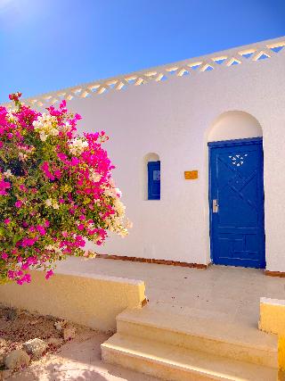 Beach Safari - Nubian Resort Marsa Alam fotoÄŸrafÄ±