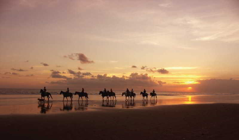Waka Gangga Resort fotoÄŸrafÄ±