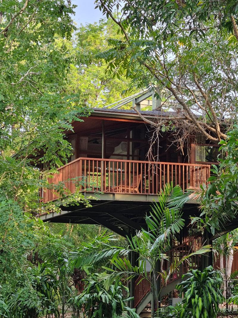 Grün Uluwatu - Oda