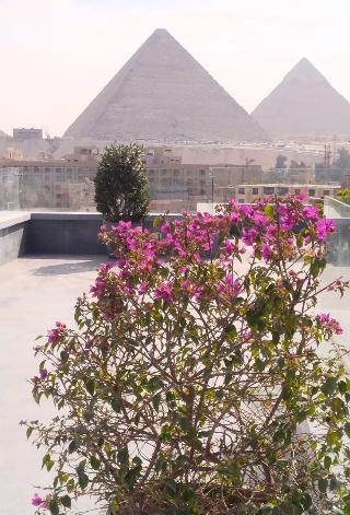 Pyramid Front Hotel fotoÄŸrafÄ±