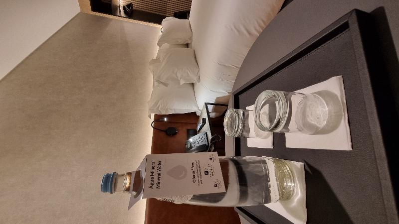 Hotel Principe Avila - Oda