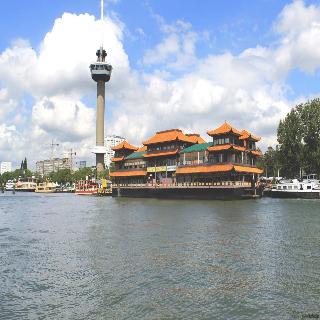 Hotel New Ocean Paradise otel fotoğrafı