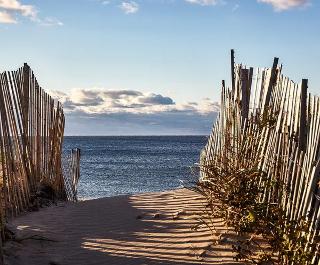 Marram fotoÄŸrafÄ±