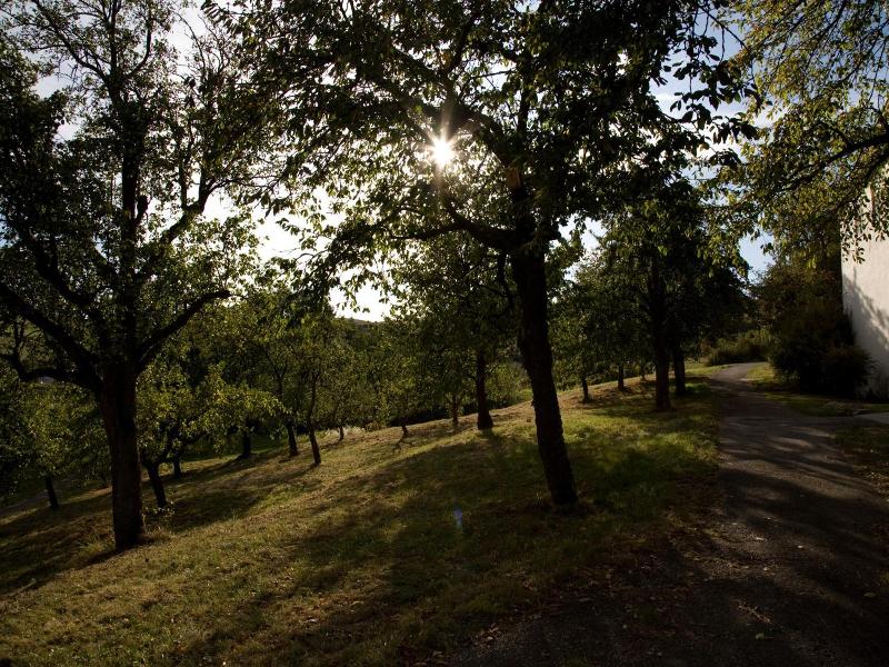 Landhotel Garni Engelhard - Genel