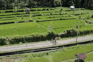 Kaura Bali fotoÄŸrafÄ±