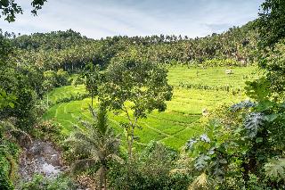 Kaura Bali fotoÄŸrafÄ±