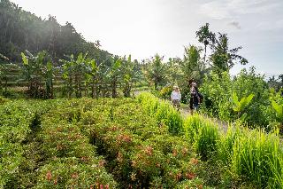 Kaura Bali fotoÄŸrafÄ±
