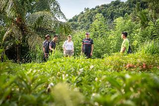 Kaura Bali fotoÄŸrafÄ±