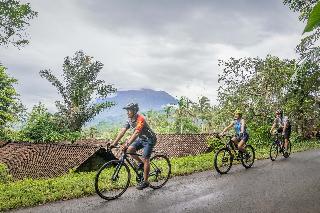 Kaura Bali fotoÄŸrafÄ±