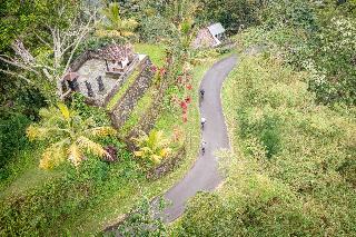 Kaura Bali fotoÄŸrafÄ±