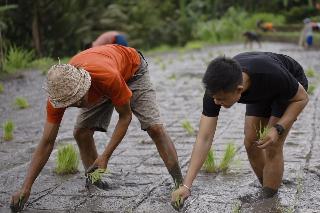 Kaura Bali fotoÄŸrafÄ±