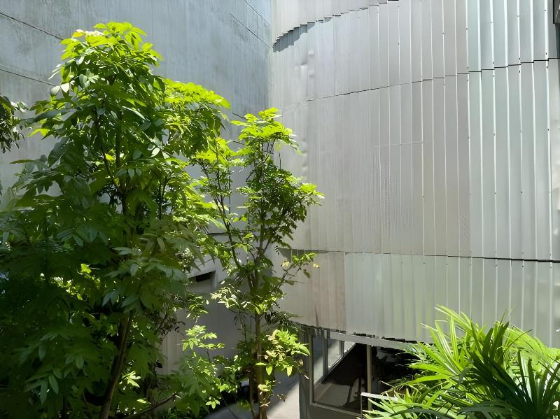 Tiang Studio - Genel