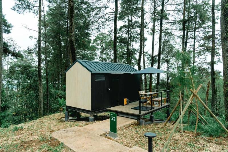 Bobocabin Padusan - Genel