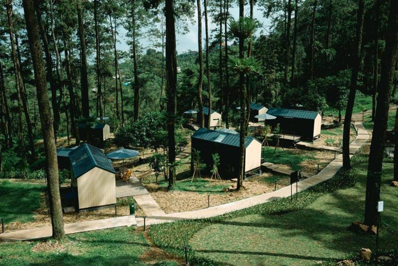 Bobocabin Padusan - Genel