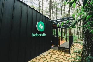 Bobocabin Cikole otel fotoğrafı
