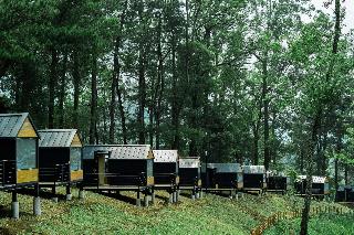 Bobocabin Coban Rondo Malang fotoÄŸrafÄ±